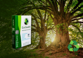 PAPEL ZERO ÁRVORES ( x px) ( x px)